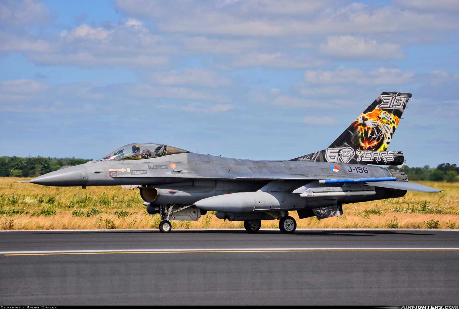 Netherlands - Air Force General Dynamics F-16AM Fighting Falcon J-196 at Schleswig (- Jagel) (WBG / ETNS), Germany