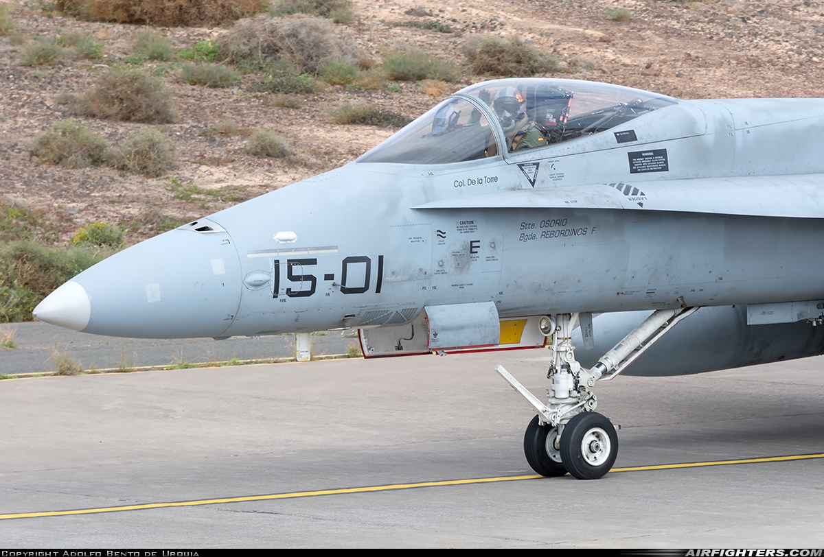 Spain - Air Force McDonnell Douglas C-15 Hornet (EF-18A+) C.15-14 at Gran Canaria (- Las Palmas / Gando) (LPA / GCLP), Spain