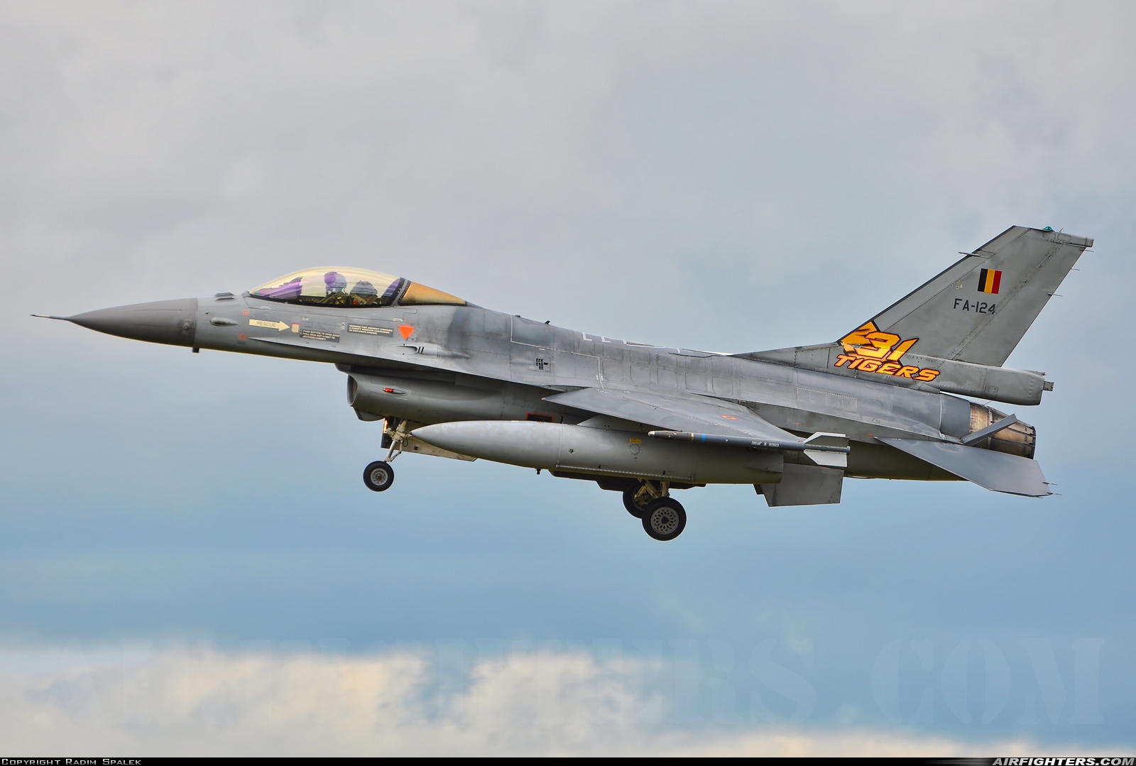 Belgium - Air Force General Dynamics F-16AM Fighting Falcon FA-124 at Schleswig (- Jagel) (WBG / ETNS), Germany