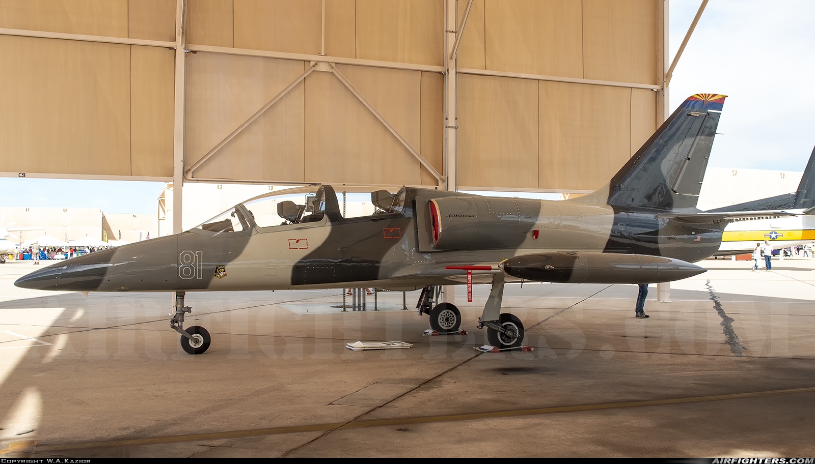 Private Aero L-39C Albatros N39KR at Tucson - Davis-Monthan AFB (DMA / KDMA), USA