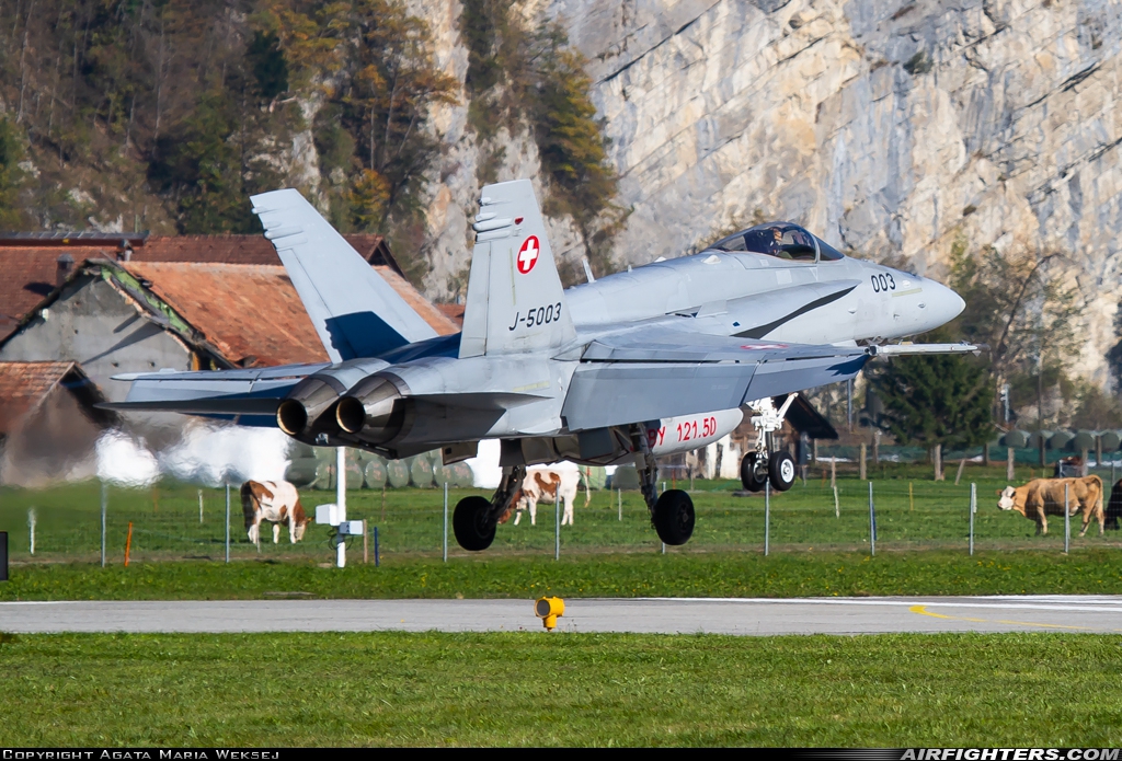 Switzerland - Air Force McDonnell Douglas F/A-18C Hornet J-5003 at Meiringen (LSMM), Switzerland