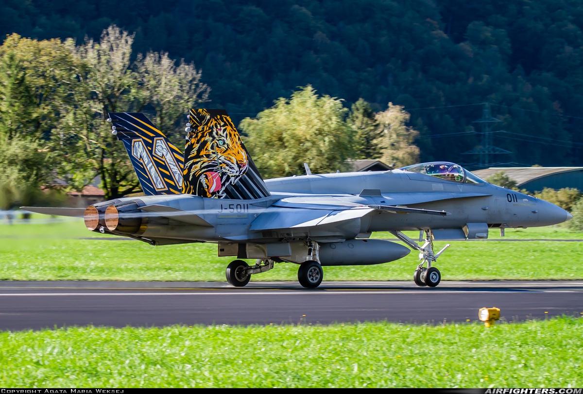 Switzerland - Air Force McDonnell Douglas F/A-18C Hornet J-5011 at Meiringen (LSMM), Switzerland