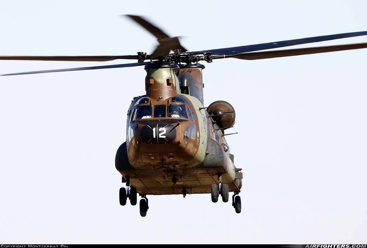 Spain - Army Boeing Vertol CH-47D Chinook HT.17-12 at Ciudad Real - Almagro (LEAO), Spain