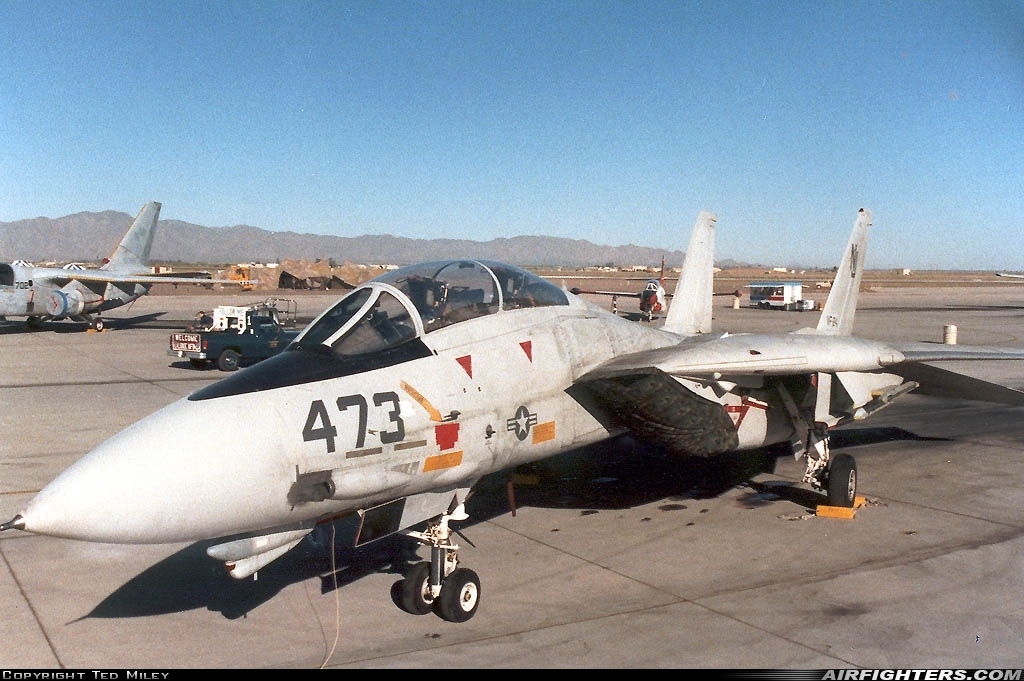 USA - Navy Grumman F-14A Tomcat  at Glendale (Phoenix) - Luke AFB (LUF / KLUF), USA