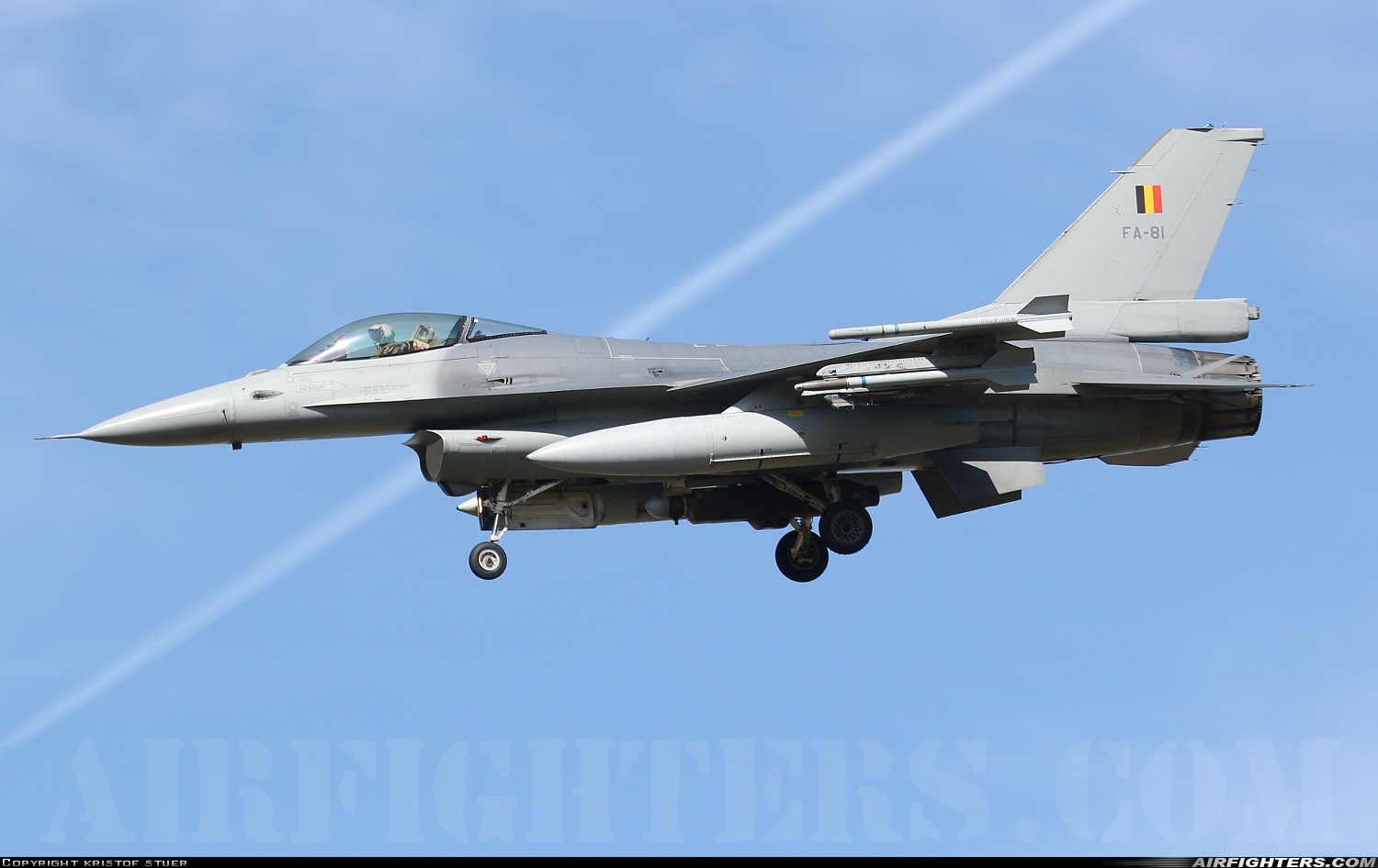 Belgium - Air Force General Dynamics F-16AM Fighting Falcon FA-81 at Kleine Brogel (EBBL), Belgium