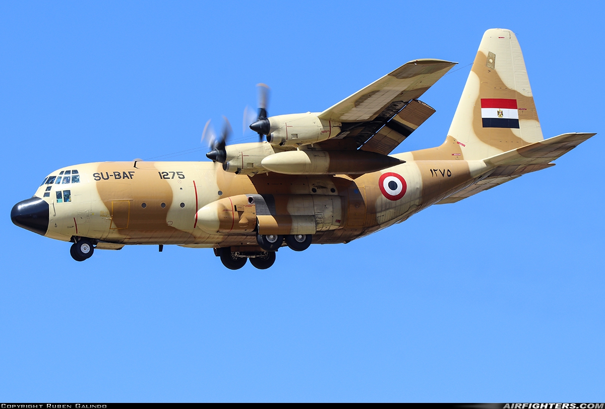 Egypt - Air Force Lockheed C-130H Hercules (L-382) 1275 at Madrid - Torrejon (TOJ / LETO), Spain