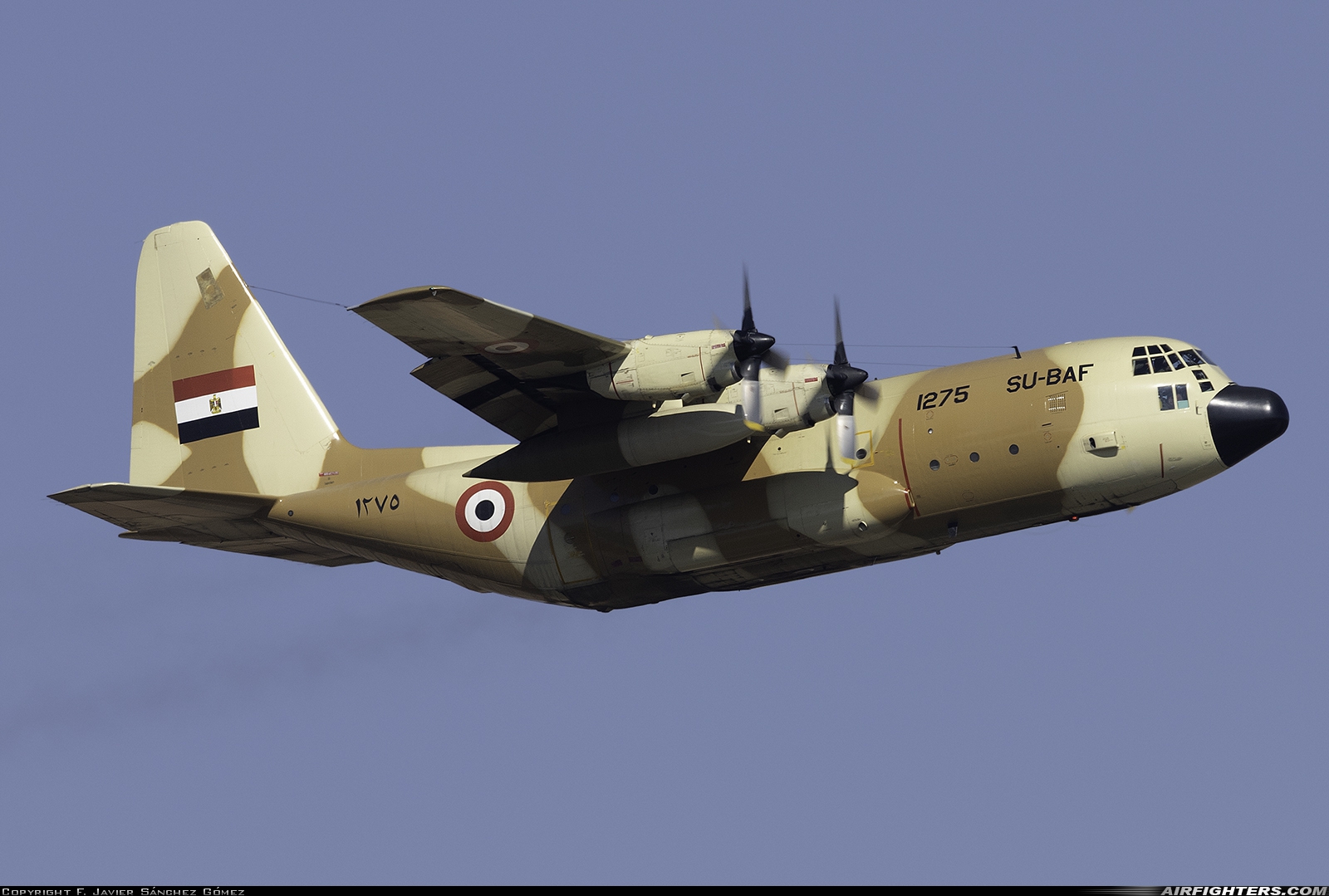 Egypt - Air Force Lockheed C-130H Hercules (L-382) 1275 at Madrid - Torrejon (TOJ / LETO), Spain