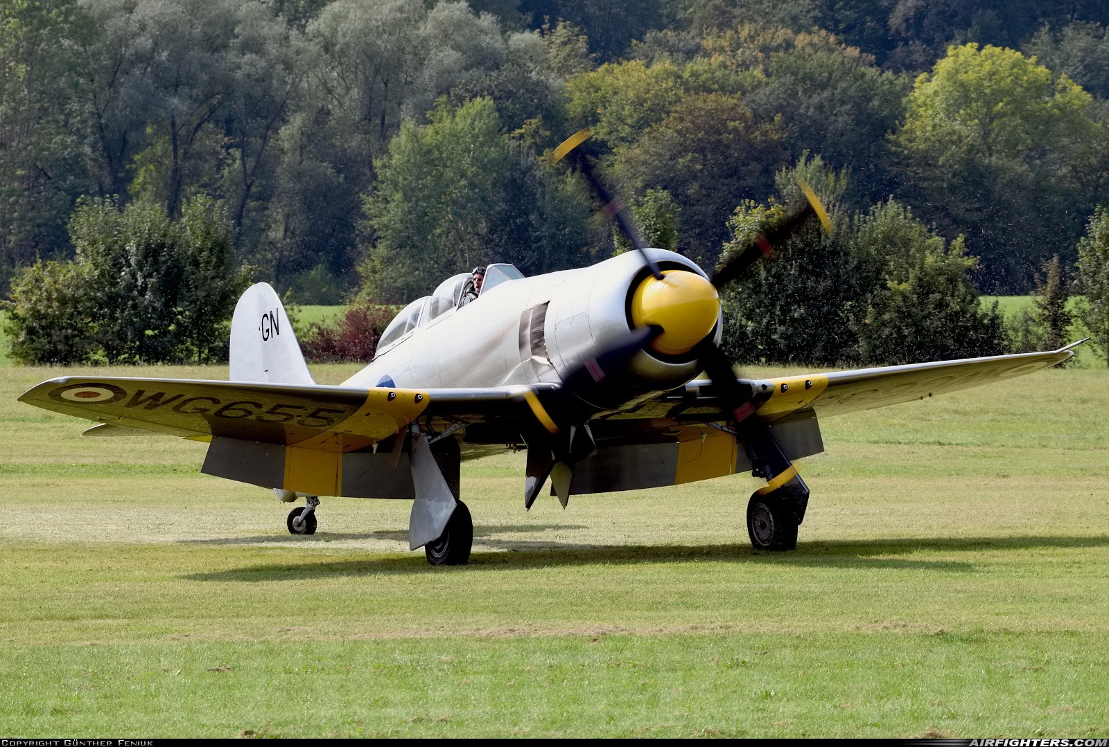 Private - The Fighter Collection Hawker Sea Fury T20 G-CHFP at Hahnweide (EDST), Germany