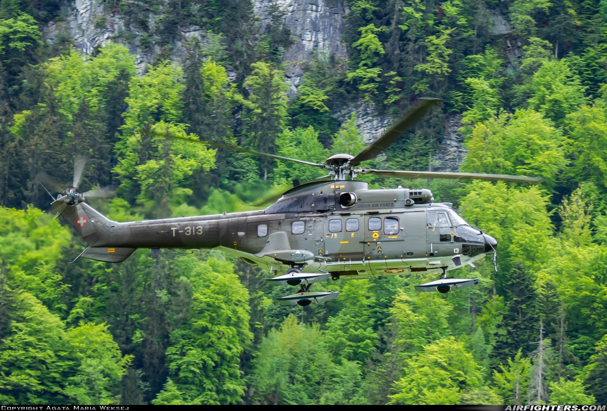 Switzerland - Air Force Aerospatiale AS-332M1 Super Puma T-313 at Meiringen (LSMM), Switzerland