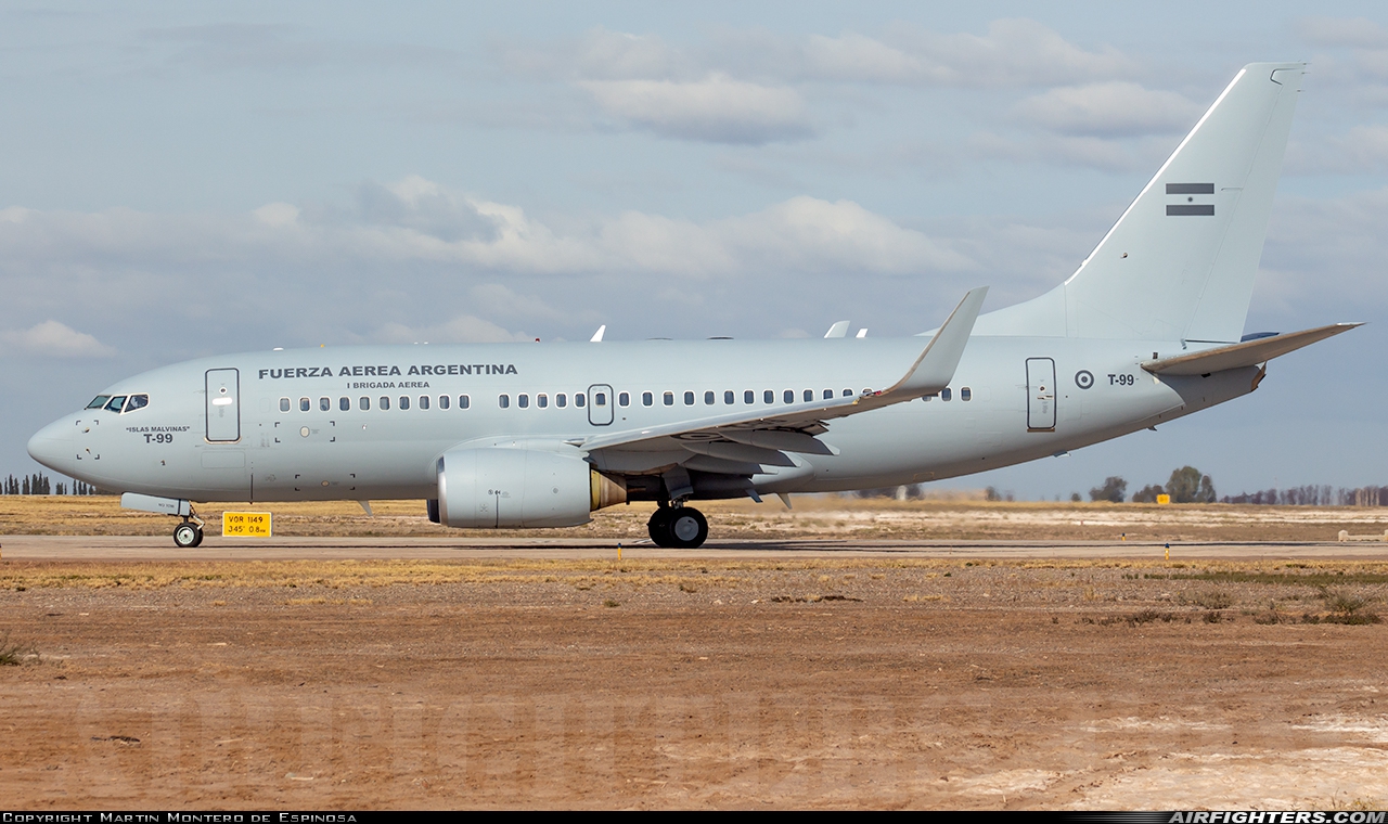 Argentina - Air Force Boeing 737-76N T-99 at Mendoza - El Plumerillo (MDZ / SAME), Argentina
