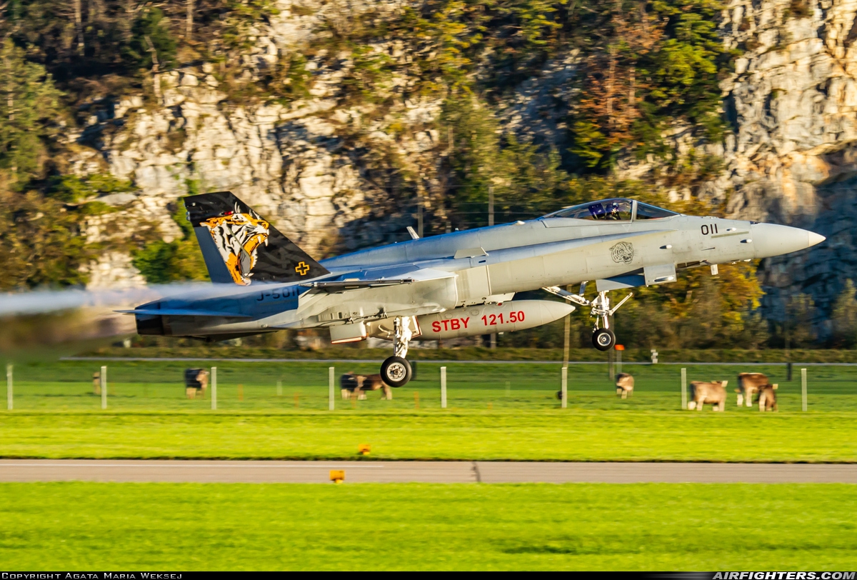 Switzerland - Air Force McDonnell Douglas F/A-18C Hornet J-5011 at Meiringen (LSMM), Switzerland