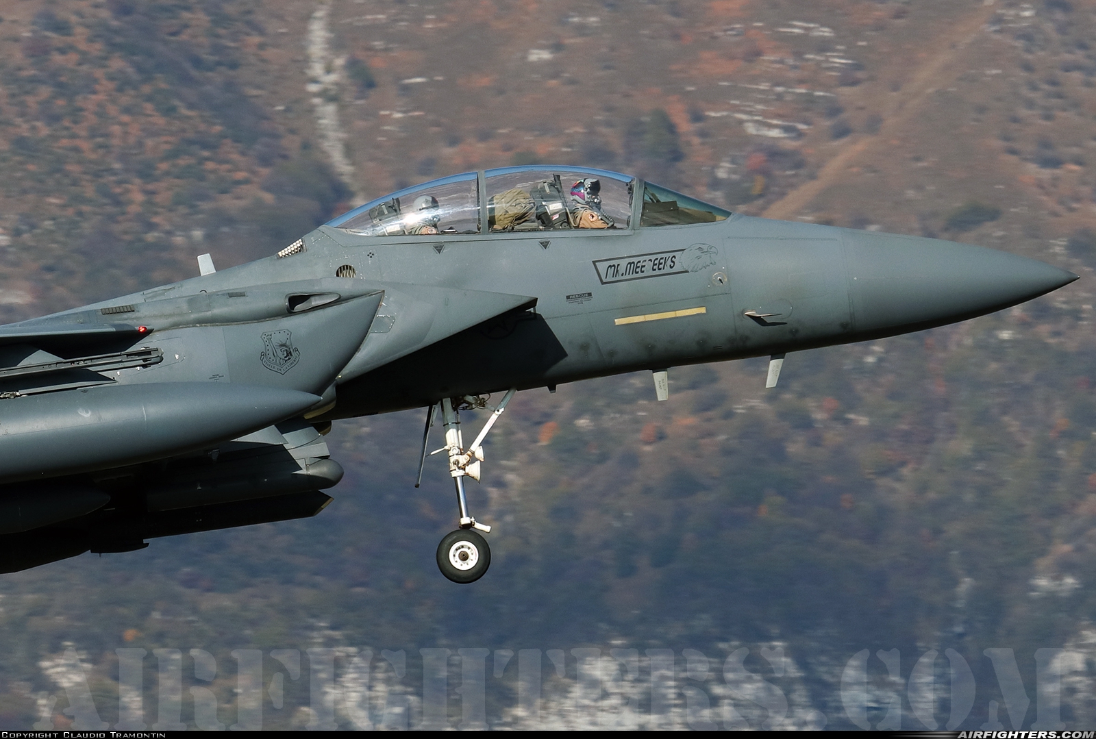 USA - Air Force McDonnell Douglas F-15E Strike Eagle 91-0603 at Aviano (- Pagliano e Gori) (AVB / LIPA), Italy