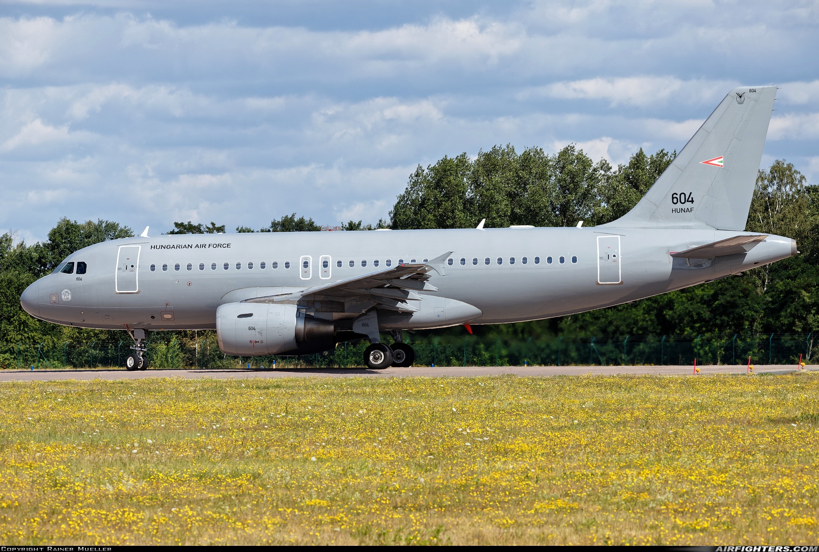Hungary - Air Force Airbus A319-112 604 at Wunstorf (ETNW), Germany