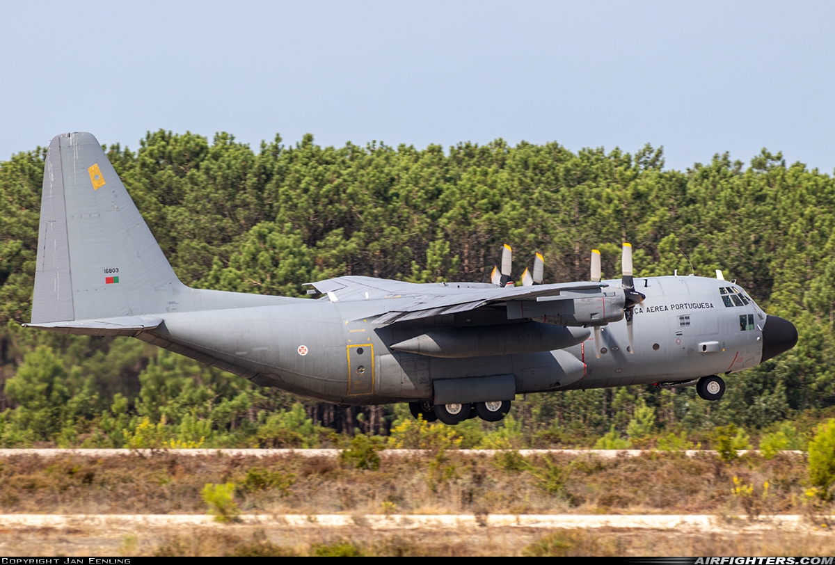 Portugal - Air Force Lockheed C-130H Hercules (L-382) 16803 at Monte Real (BA5) (LPMR), Portugal