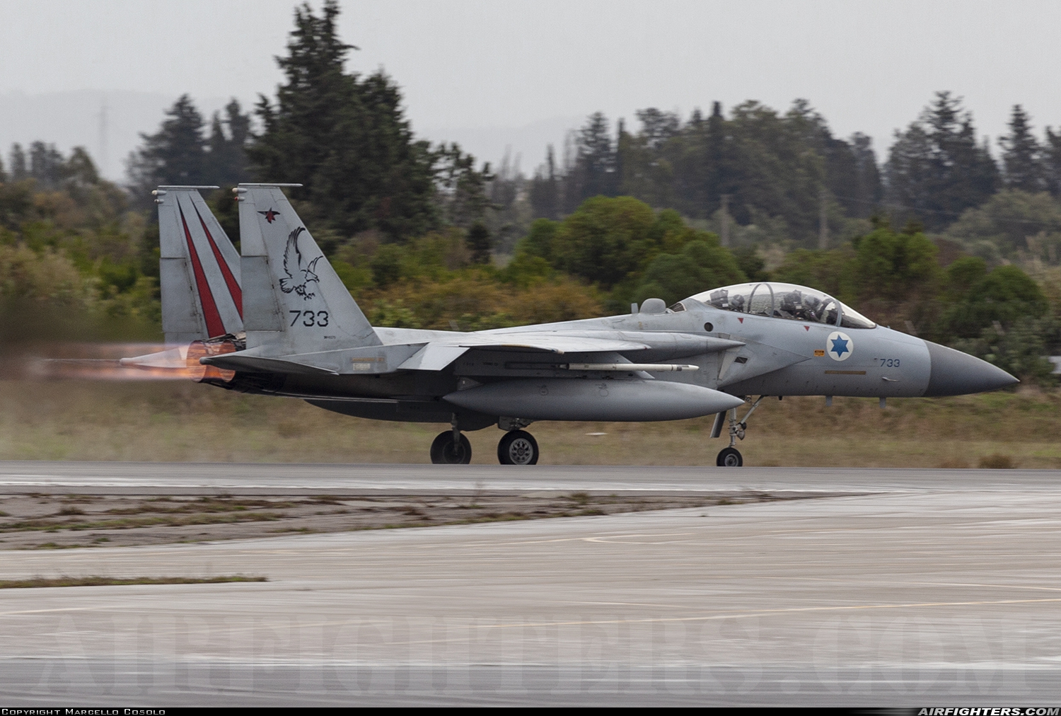 Israel - Air Force McDonnell Douglas F-15D Eagle 733 at Decimomannu - (DCI / LIED), Italy
