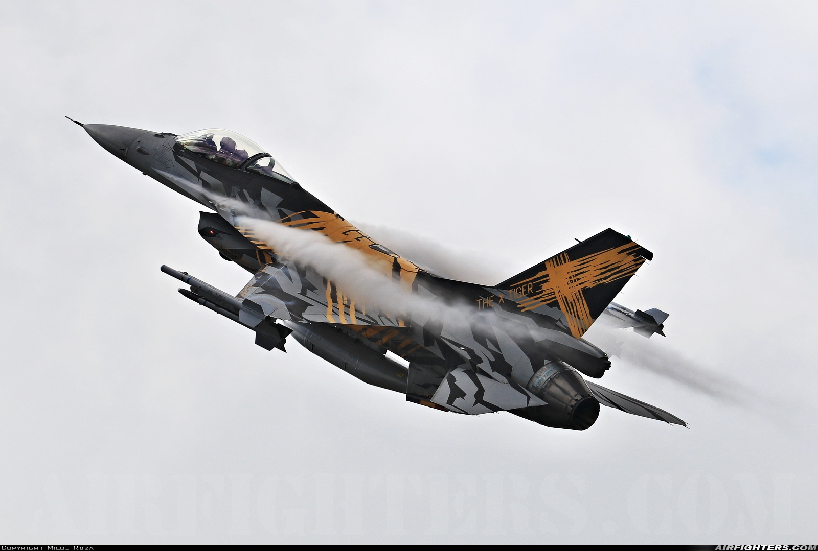 Belgium - Air Force General Dynamics F-16AM Fighting Falcon FA-136 at Kleine Brogel (EBBL), Belgium