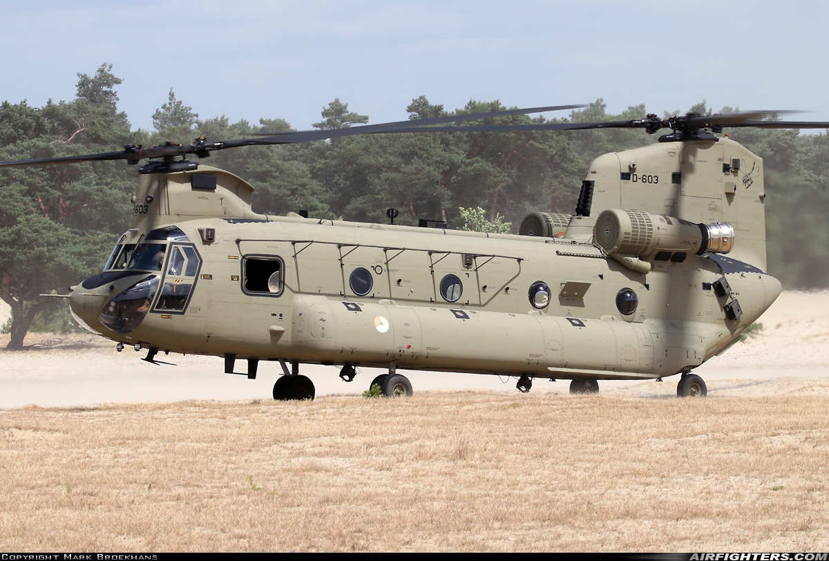Netherlands - Air Force Boeing Vertol CH-47F Chinook D-603 at Off-Airport - Beekhuizerzand, Netherlands