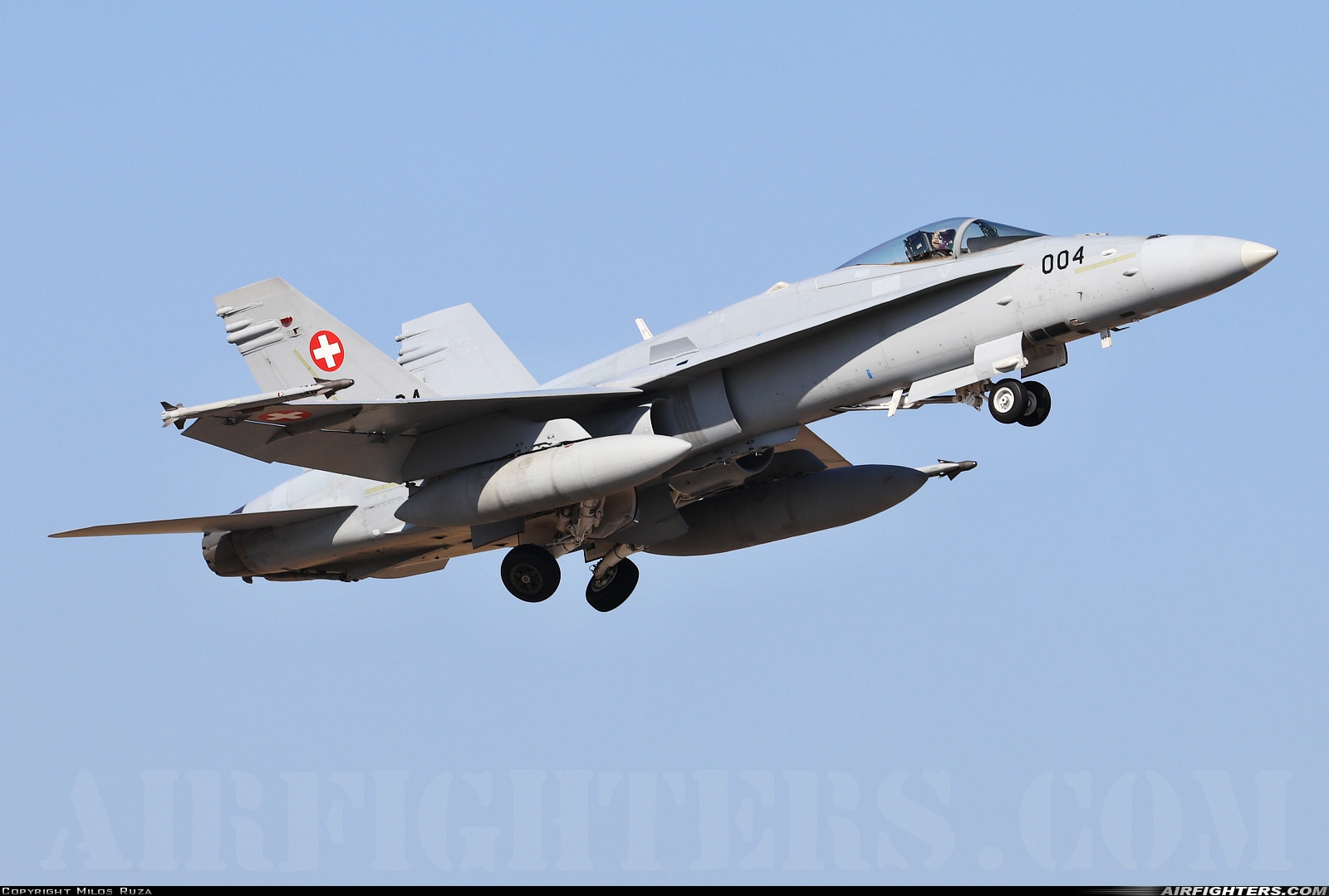 Switzerland - Air Force McDonnell Douglas F/A-18C Hornet J-5004 at Gioia del Colle-Bari (LIBV), Italy