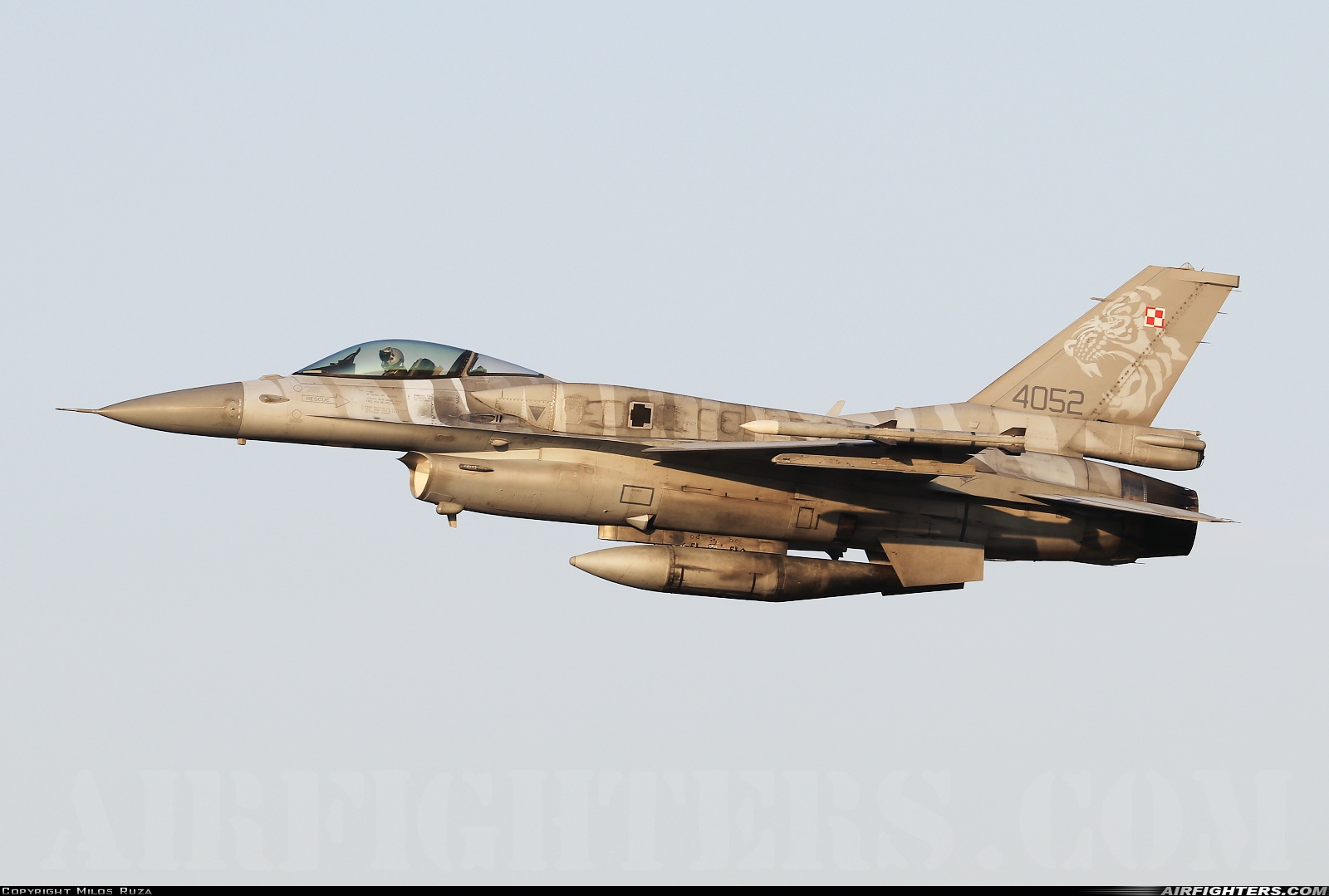 Poland - Air Force General Dynamics F-16C Fighting Falcon 4052 at Gioia del Colle-Bari (LIBV), Italy
