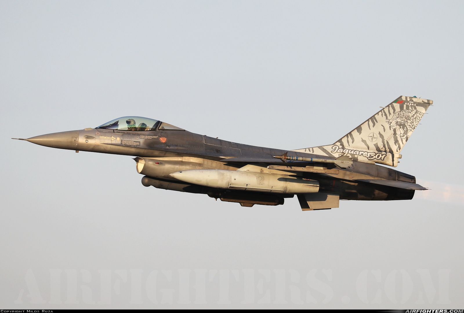 Portugal - Air Force General Dynamics F-16AM Fighting Falcon 15106 at Gioia del Colle-Bari (LIBV), Italy