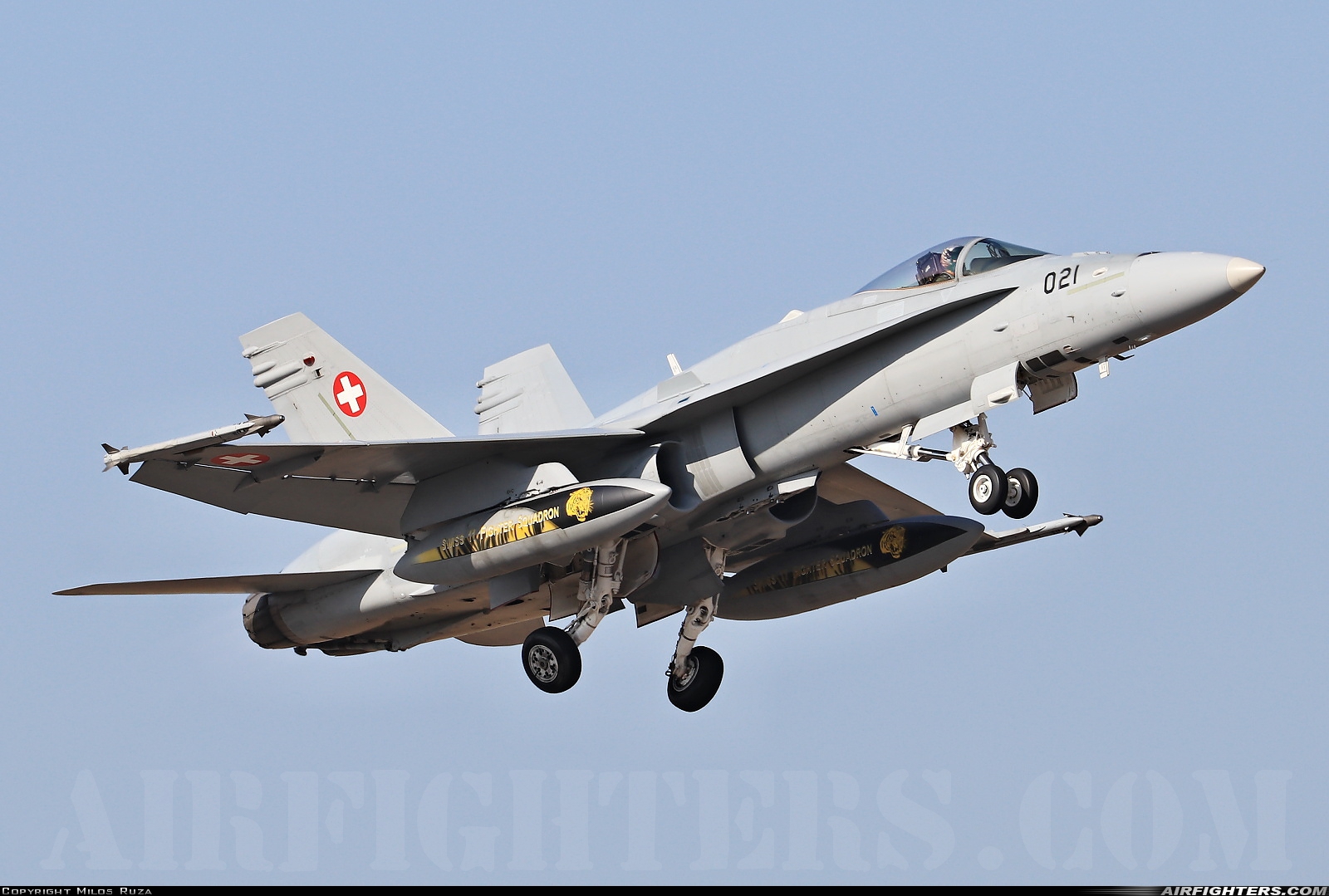 Switzerland - Air Force McDonnell Douglas F/A-18C Hornet J-5021 at Gioia del Colle-Bari (LIBV), Italy