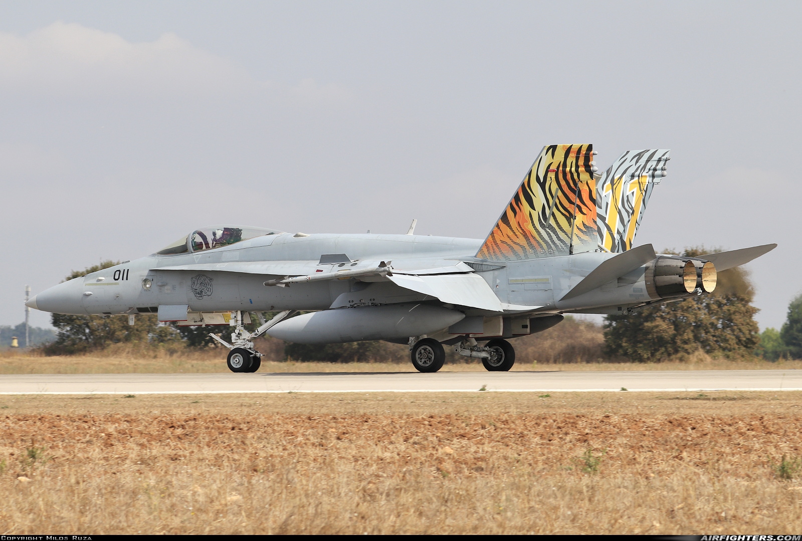 Switzerland - Air Force McDonnell Douglas F/A-18C Hornet J-5011 at Gioia del Colle-Bari (LIBV), Italy