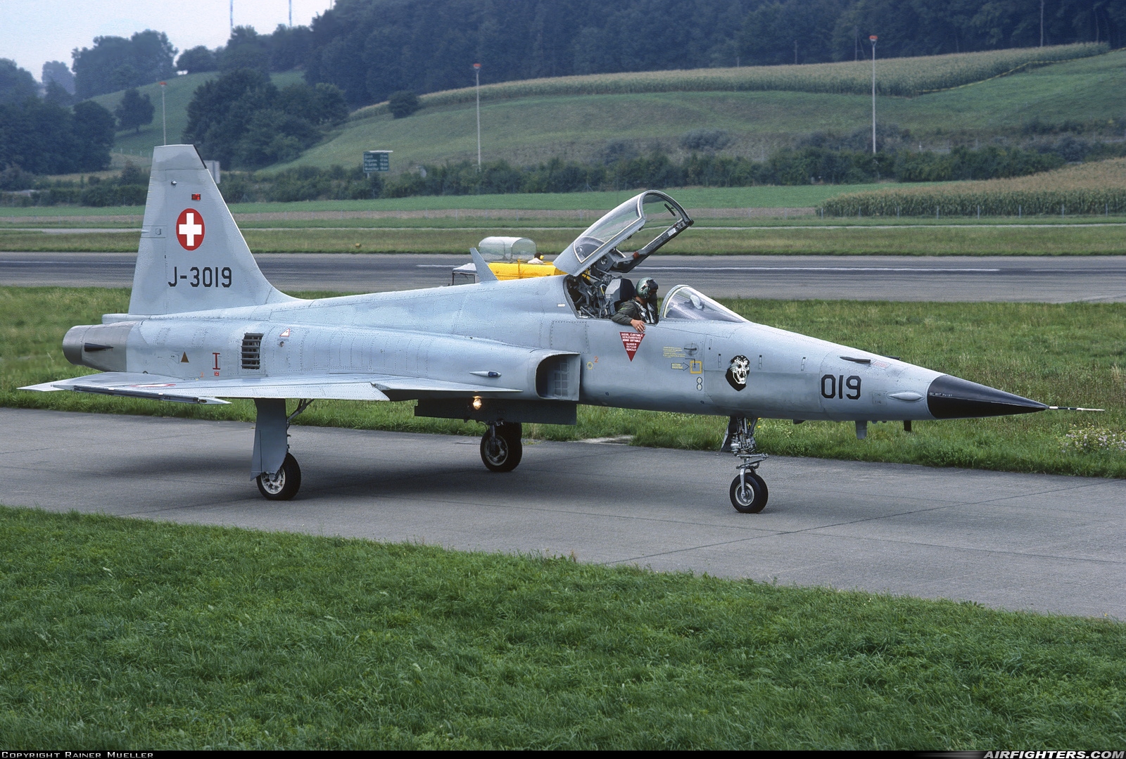 Switzerland - Air Force Northrop F-5E Tiger II J-3019 at Dubendorf (LSMD), Switzerland