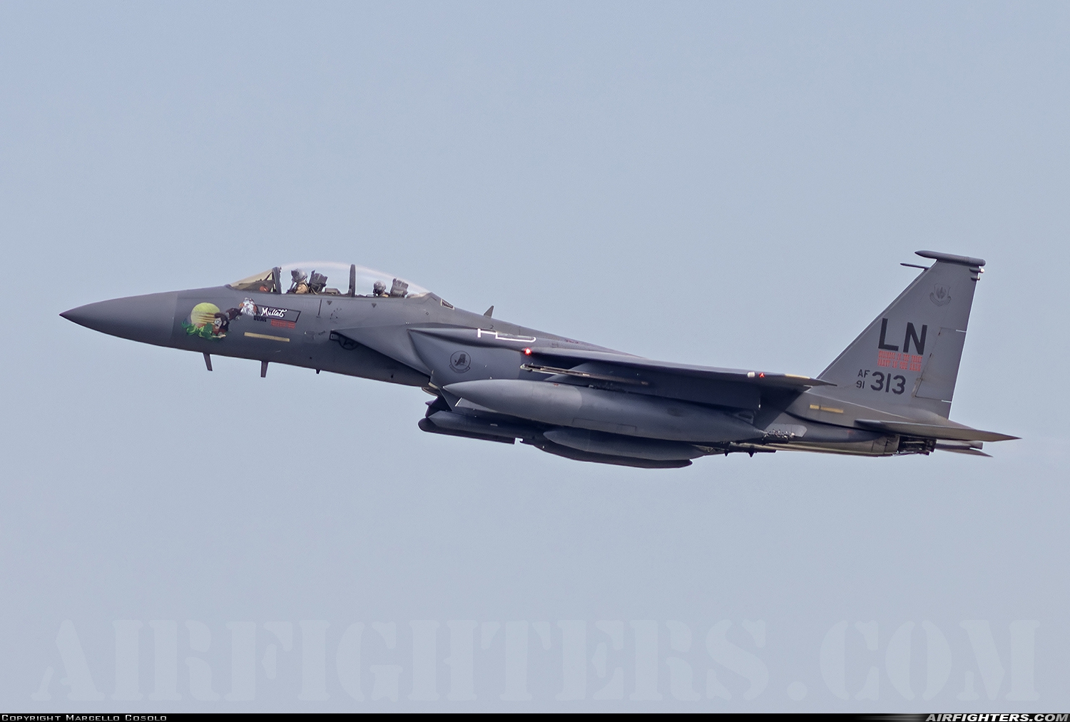USA - Air Force McDonnell Douglas F-15E Strike Eagle 91-0313 at Aviano (- Pagliano e Gori) (AVB / LIPA), Italy