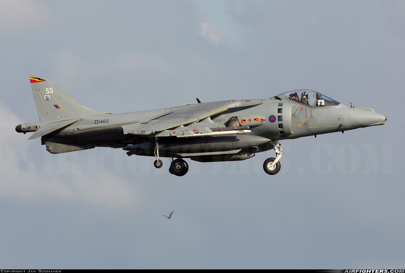 UK - Air Force British Aerospace Harrier GR.9 ZD465 at Leeuwarden (LWR / EHLW), Netherlands
