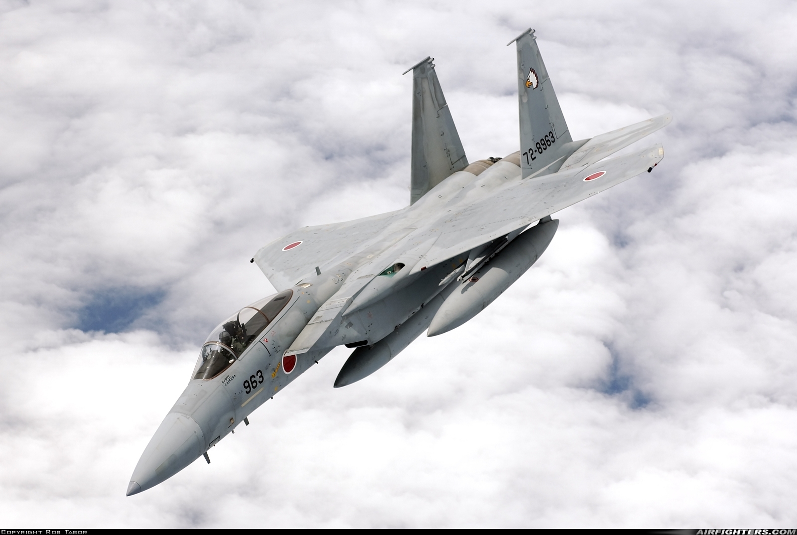 Japan - Air Force McDonnell Douglas F-15J Eagle 72-8963 at In Flight, International Airspace
