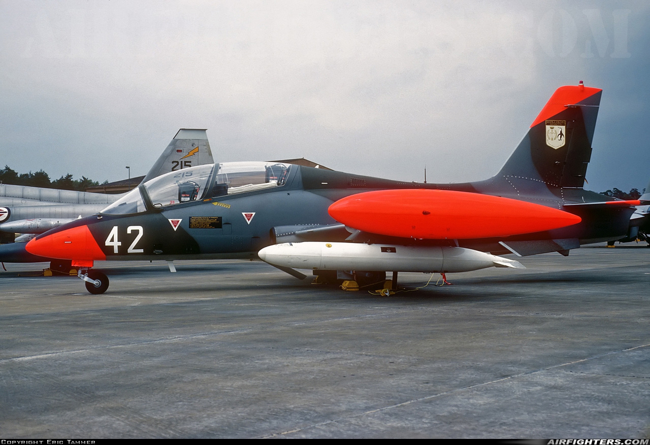 Italy - Air Force Aermacchi MB-339A MM54496 at Ramstein (- Landstuhl) (RMS / ETAR), Germany