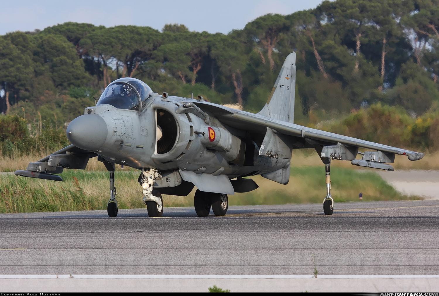 Spain - Navy McDonnell Douglas EAV-8B+ Harrier II VA.1B-25 at Hyeres (TLN / LFTH), France