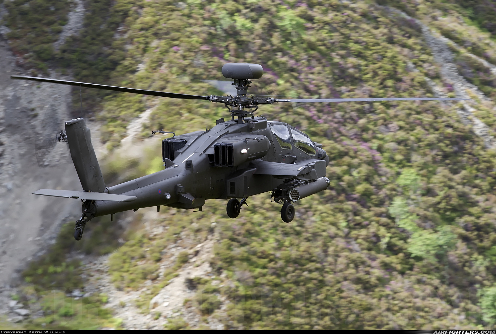 UK - Army Westland Apache AH1 (WAH-64D) ZJ231 at Off-Airport - Machynlleth Loop Area, UK