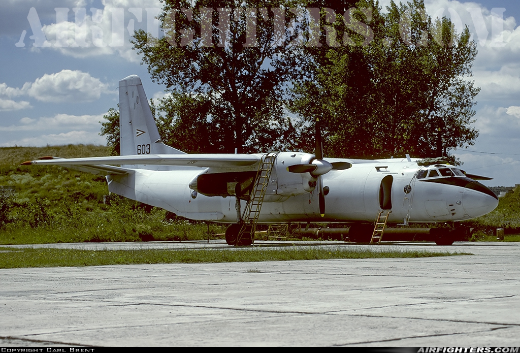 Hungary - Air Force Antonov An-26 603 at Tököl (LHTL), Hungary