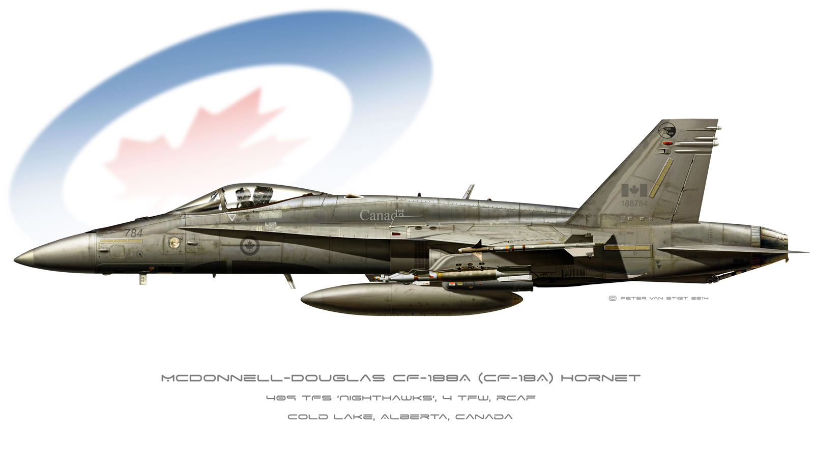 Canadian Air Force Hornet Profile