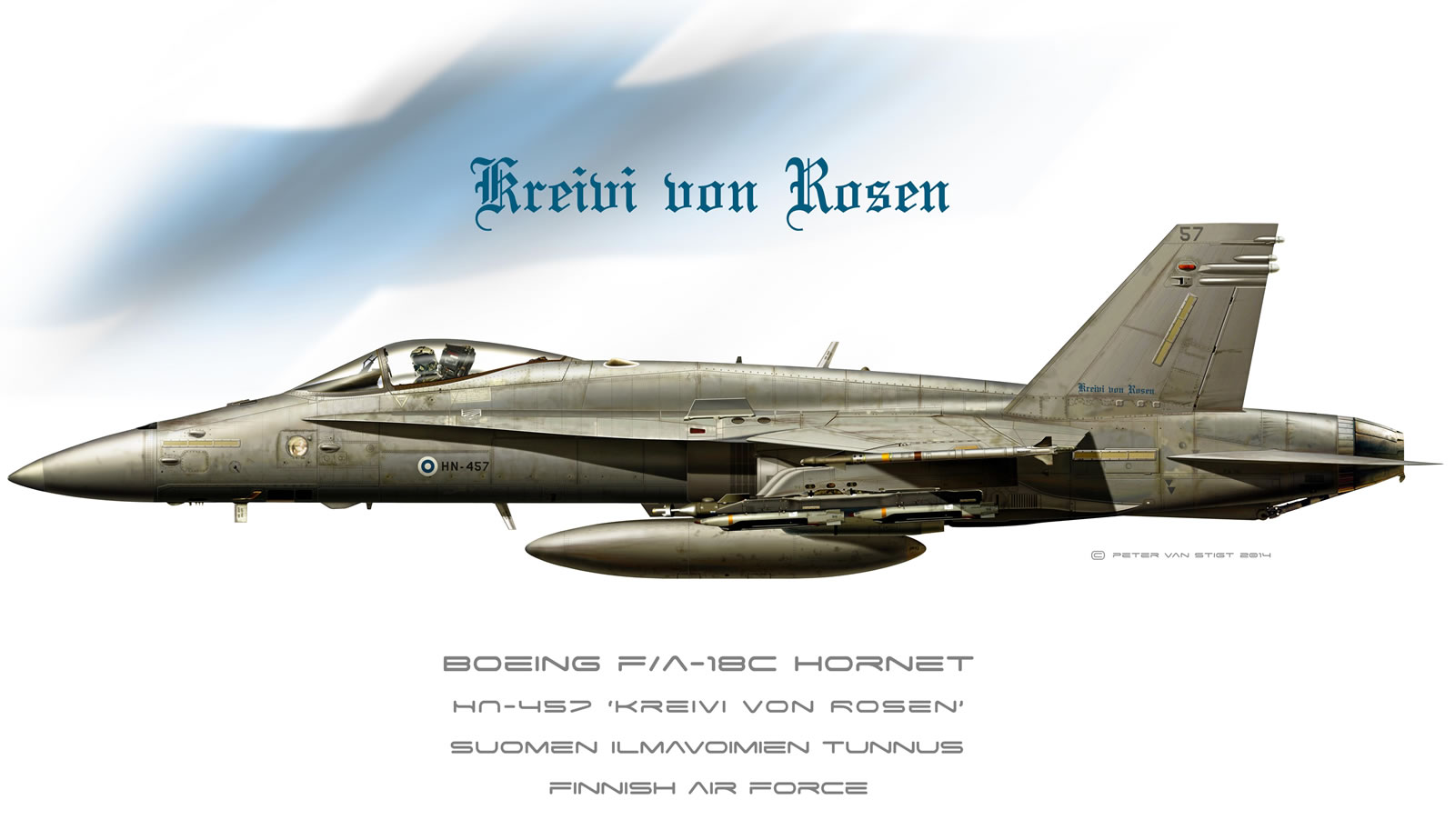 Finland Air Force Hornet Profile