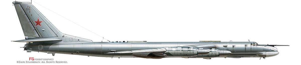 Tu-95MS Profile